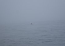 IMG_1370.jpeg