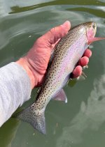 IMG_6029.jpeg IMG_6029.jpeg
