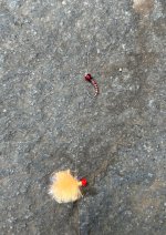 IMG_6063.jpeg IMG_6063.jpeg
