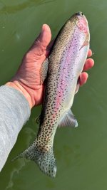 IMG_6044.jpeg IMG_6044.jpeg