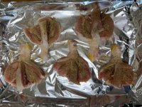 IMG_1374.jpeg