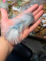 IMG_9100.jpeg