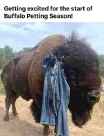 FB_IMG_1743103613203.jpg