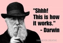 Darwin1.jpg Darwin1.jpg