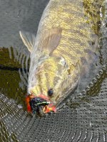 IMG_4591.jpeg