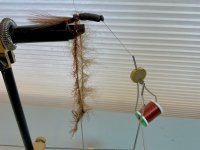 IMG_0074.jpeg