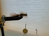 IMG_0076.jpeg