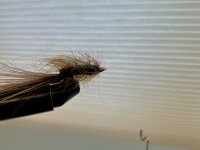 IMG_0077.jpeg