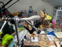 IMG_4611.jpeg