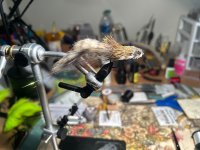 IMG_4610.jpeg