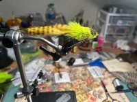 IMG_4608.jpeg