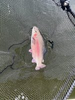 IMG_4600.jpeg