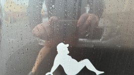 IMG_4413.jpeg