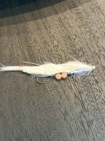 IMG_5999.jpeg IMG_5999.jpeg