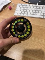 IMG_0083 Medium.jpeg