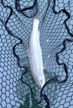 IMG_0489.jpeg