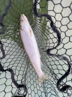 IMG_1560.jpeg