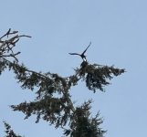 IMG_1429.jpeg