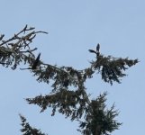 IMG_1430.jpeg