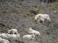 IMG_8192.JPG