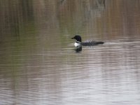 IMG_8162.JPG
