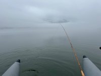 IMG_1405.jpeg IMG_1405.jpeg