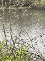 IMG_4421.jpeg