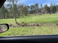 IMG_4400.jpeg