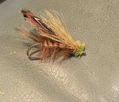IMG_4429.jpeg