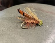 IMG_4430.jpeg