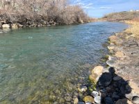 IMG_3386.jpeg