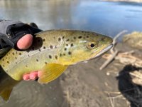 IMG_3385.jpeg