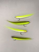 IMG_1613.jpeg