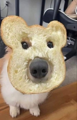 1743480858177.png 1743480858177.png