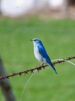 IMG_8620.jpeg