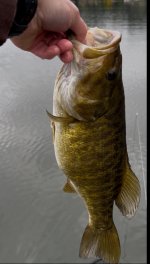 IMG_4628.jpeg