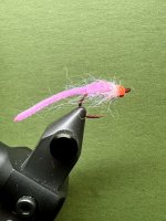 IMG_6020.jpeg