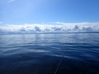IMG_1487.jpeg