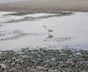 IMG_1486.jpeg