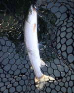 IMG_1495.jpeg