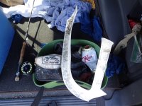 IMG_1501.jpeg