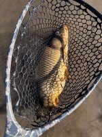 IMG_0120.HEIC.jpeg