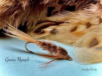 IMG_3324.jpeg