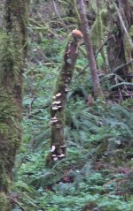 20250327_192602.jpg 20250327_192602.jpg