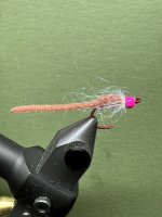 IMG_6030.jpeg