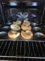 IMG_6035.jpeg