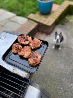 IMG_3702.jpeg