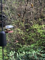IMG_8857.jpeg