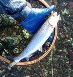 IMG_1536.jpeg