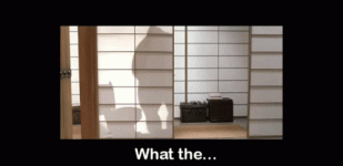 poop-bathroom.gif poop-bathroom.gif
